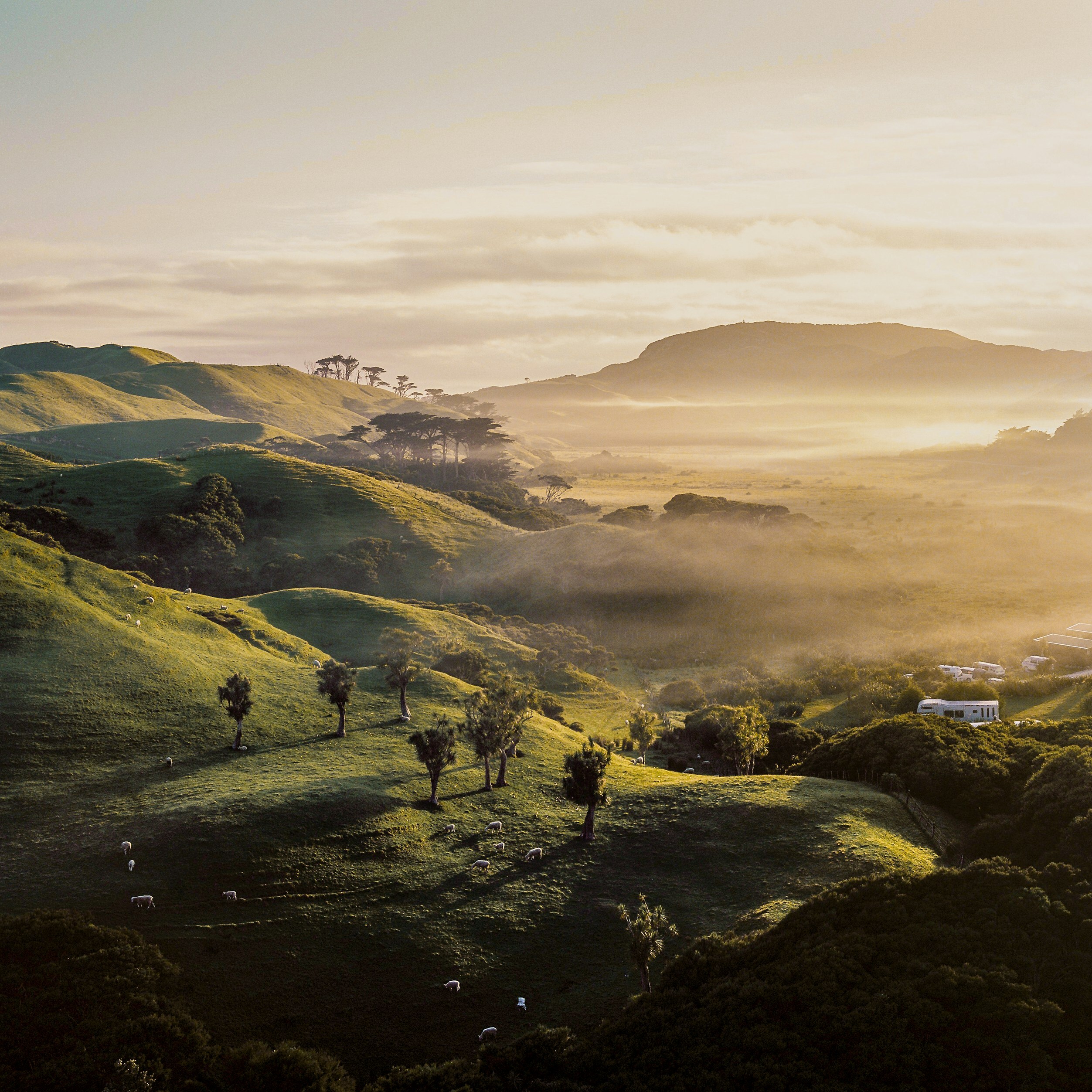 Home Capital Partners – scenic sunrise over rolling green hills and farmland in New Zealand, with soft mist in the valleys (a background image reflecting the local context and vision for thriving communities).